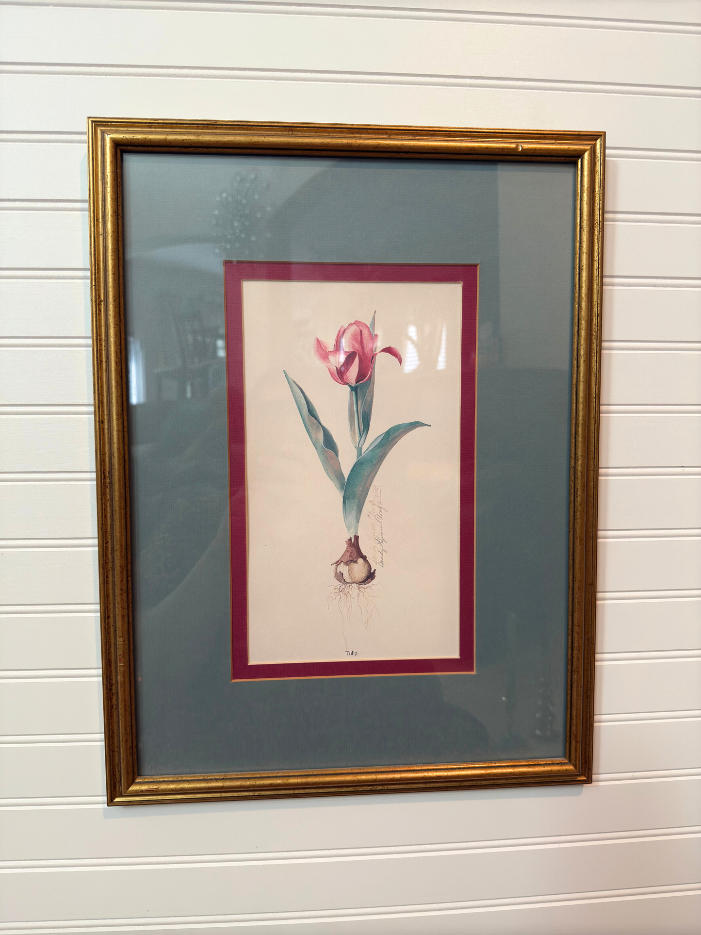 Tulip Framed Print