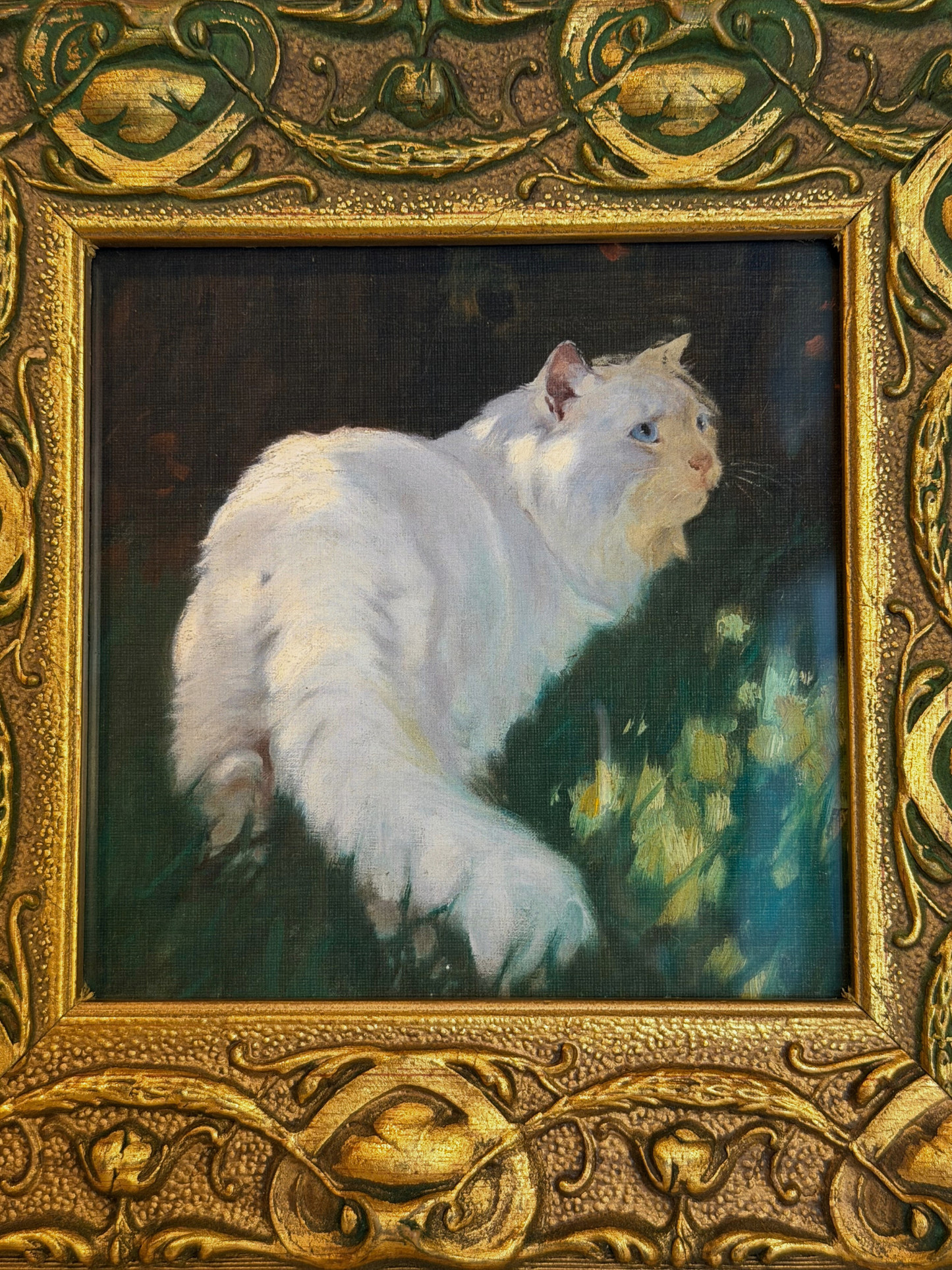 Framed White Cat Print (Reserved)