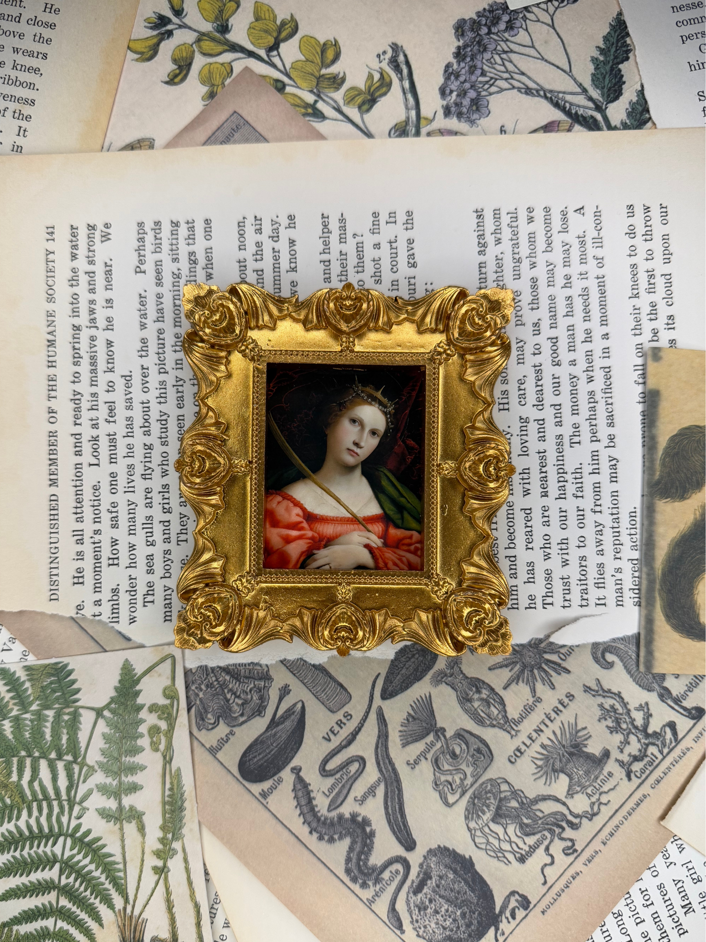 Small St. Catherine Magnet