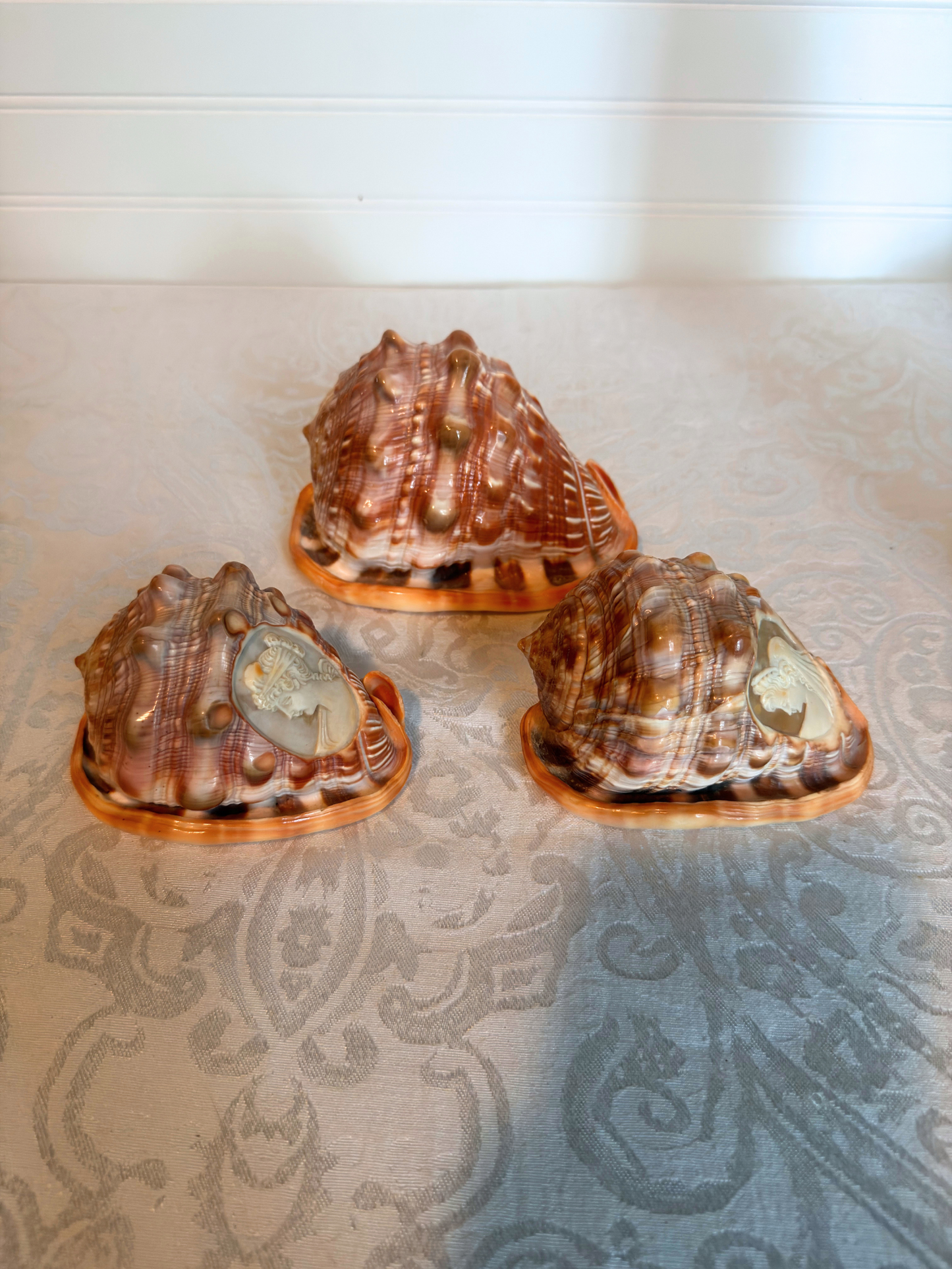 Italian Hand-Carved Cameo Shells