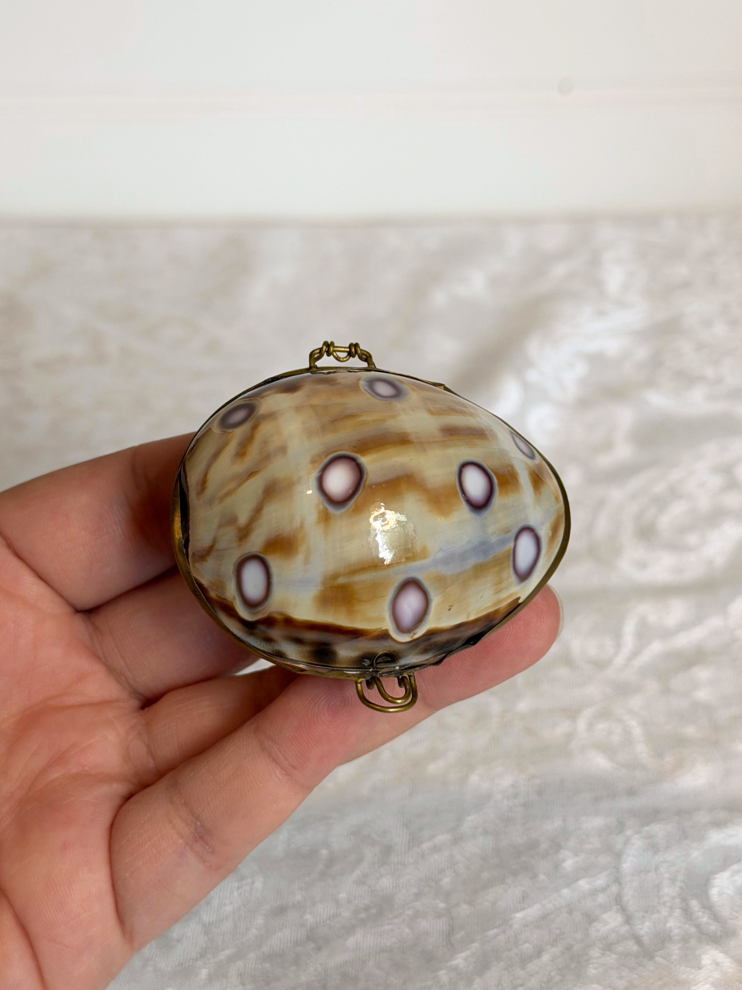 Seashell Trinket Box