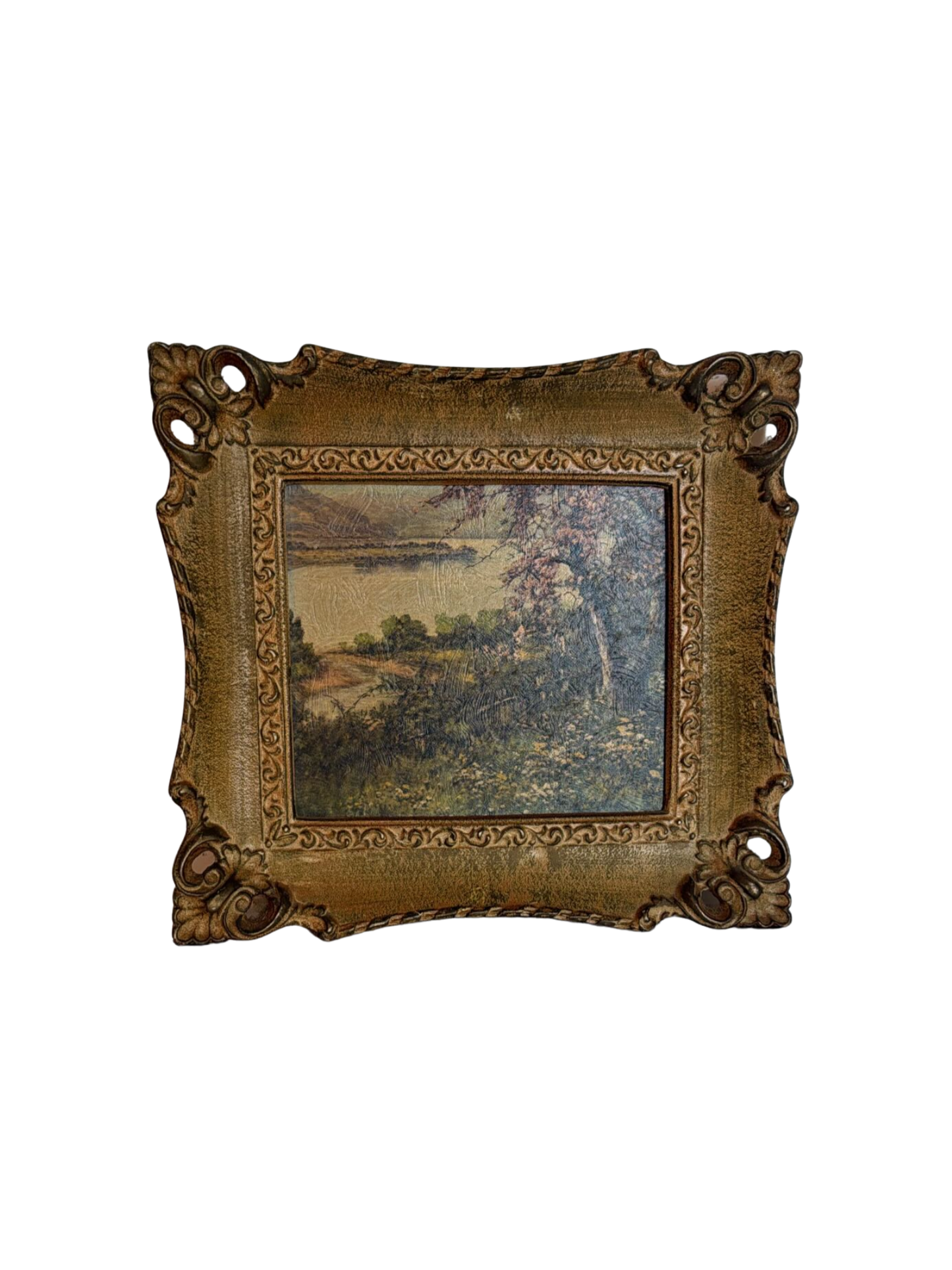 Ornate Frame1