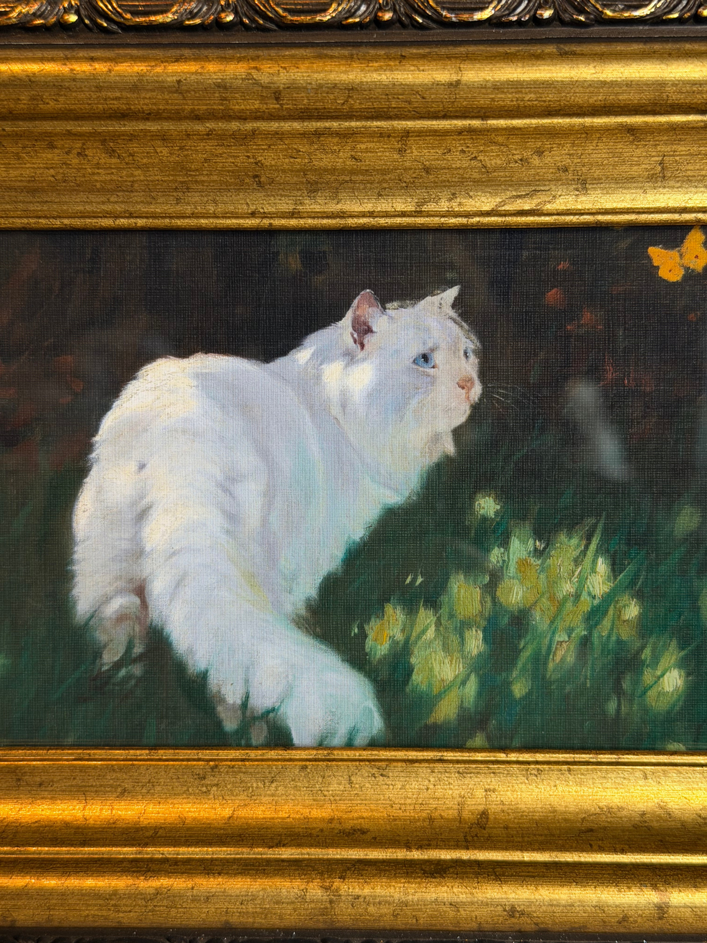 Framed White Cat & Butterfly Print