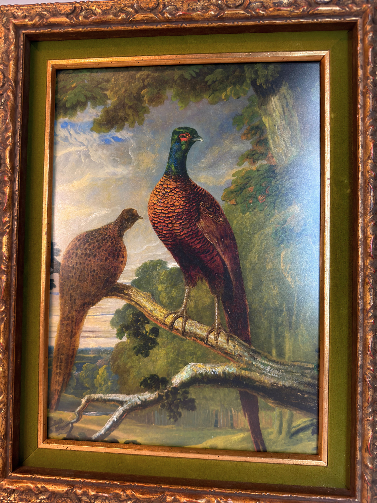 Framed Pheasant Cock & Hen Giclee Print