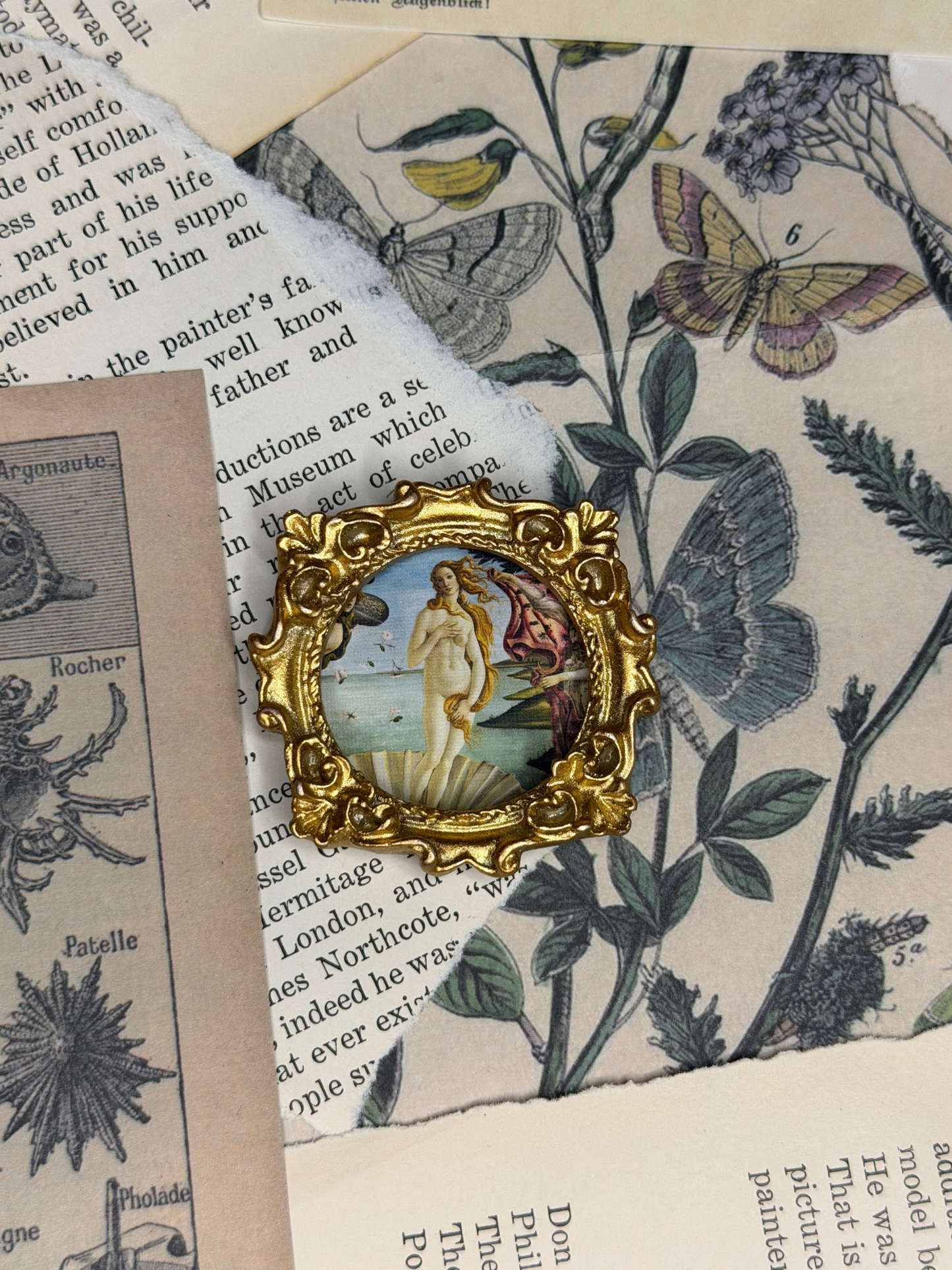 Mini Brith of Venus Magnet