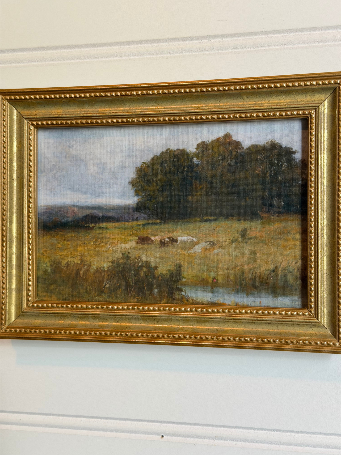 Framed Cows Print