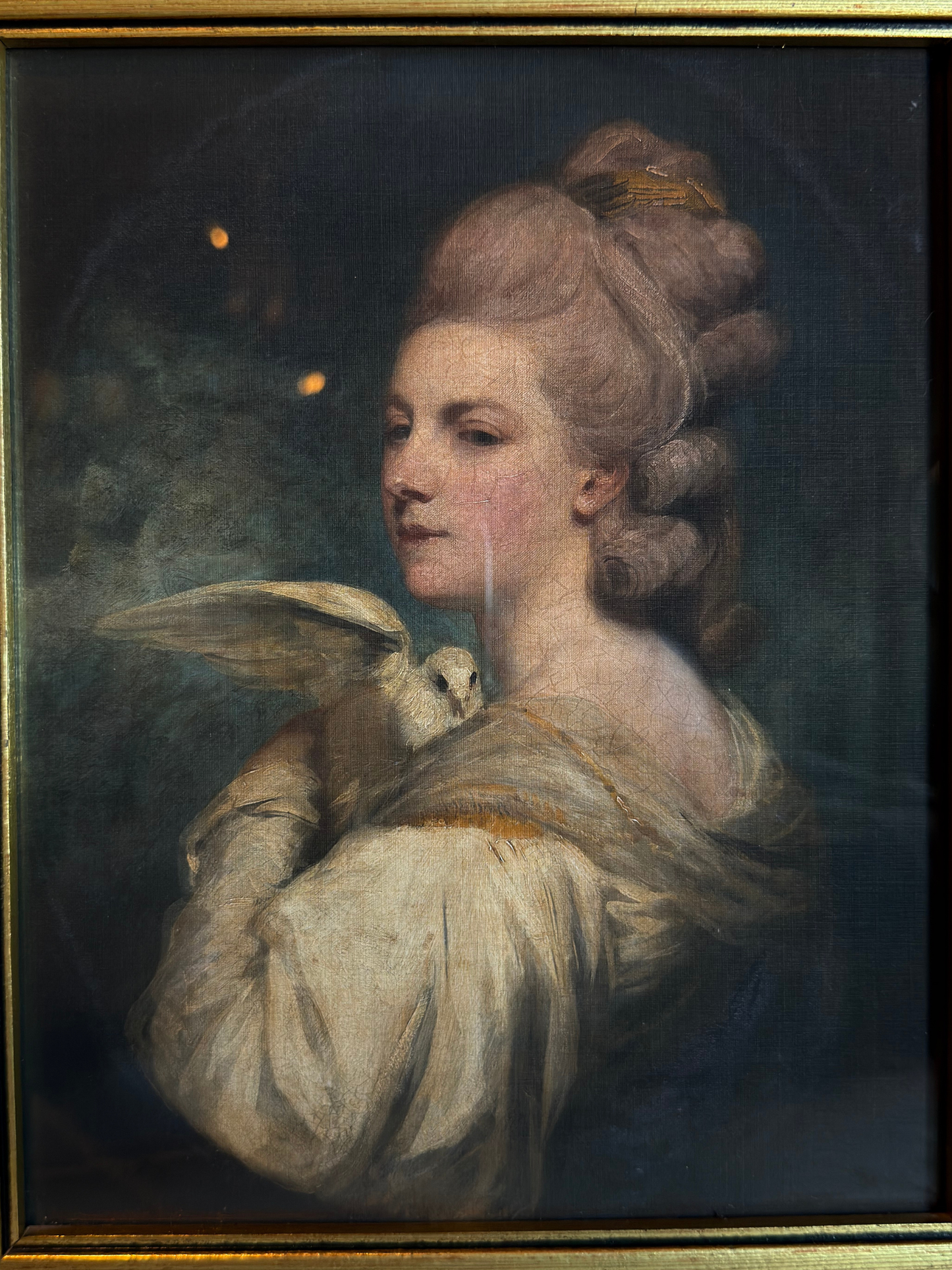 Framed Lady Holding a Bird Print