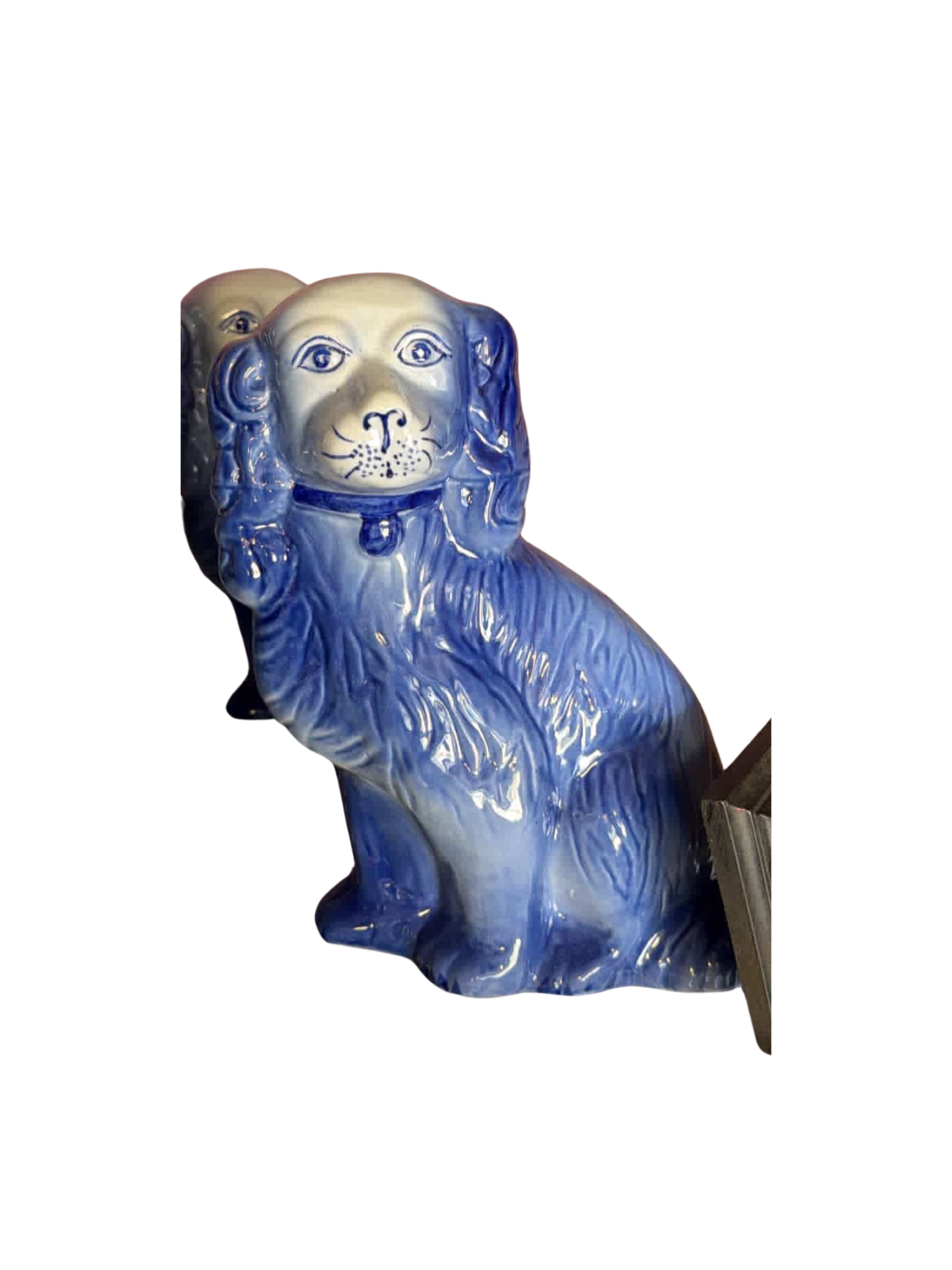 Blue staffordshire dog