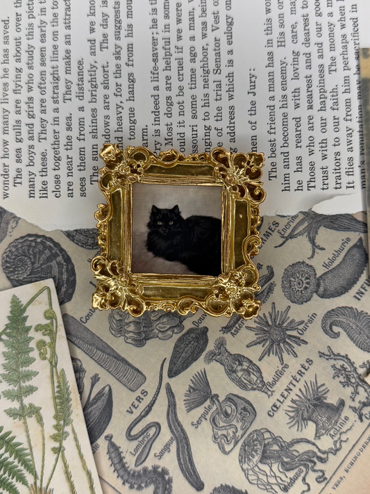 Mini Black Cat Magnet #3