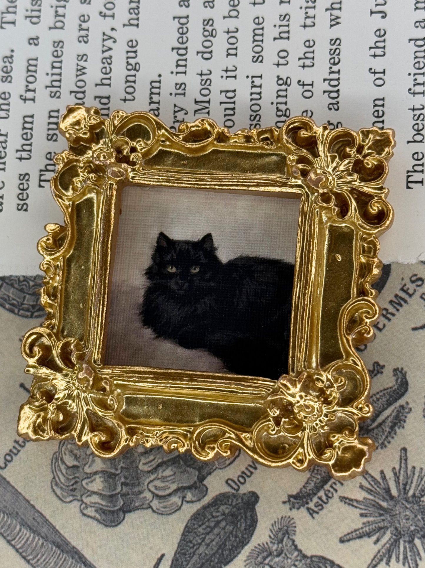 Mini Black Cat Magnet #3