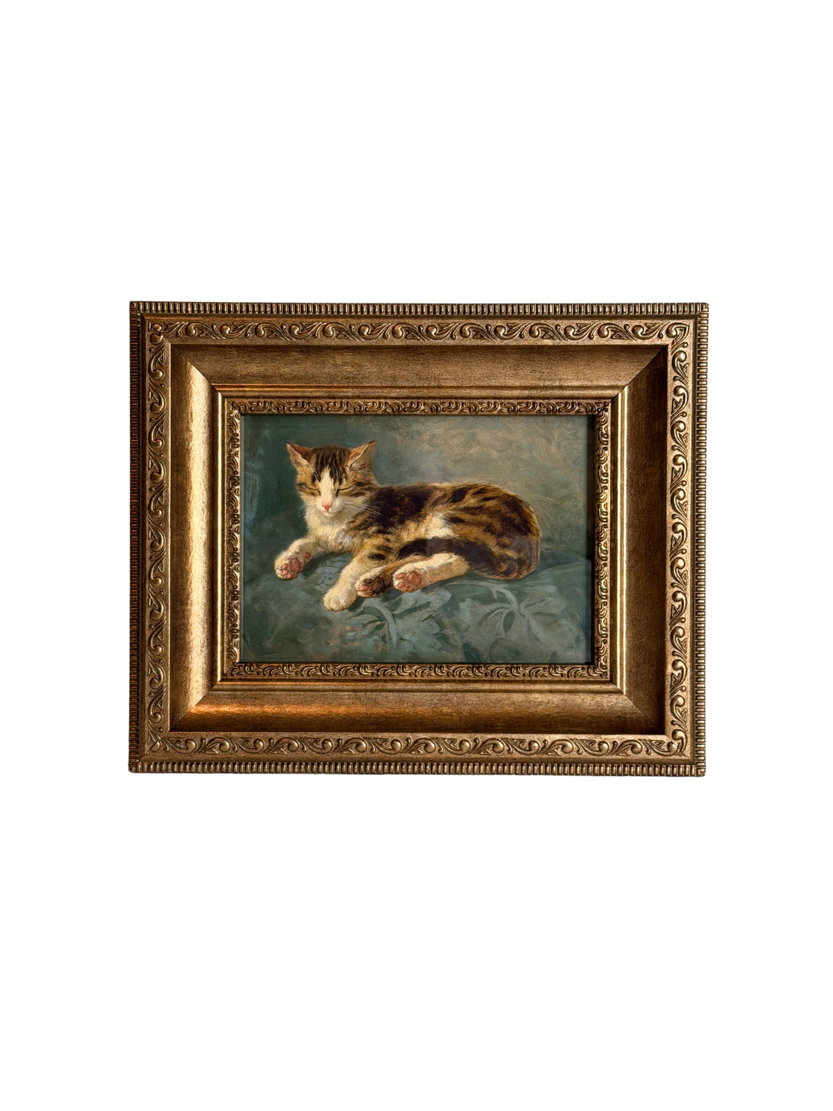 Framed Cat Sleeping Giclee Print