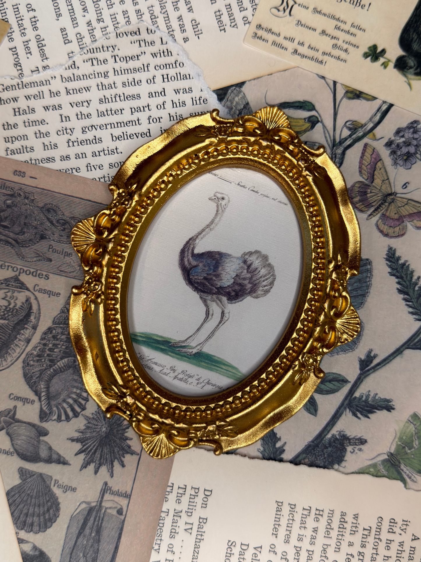 Small Ostrich Magnet