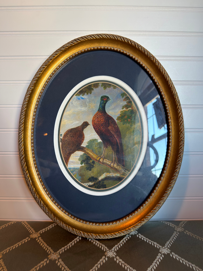 Framed Pheasant & Hen Print