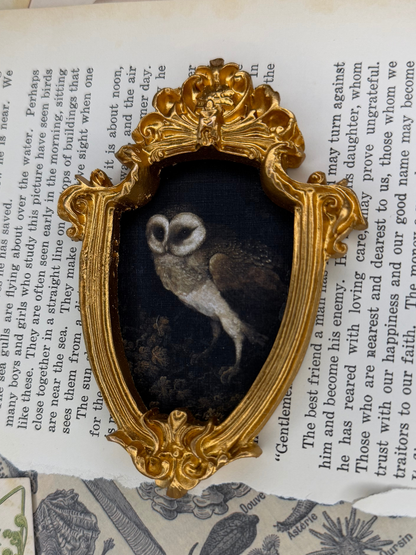 Small Owl Magnet