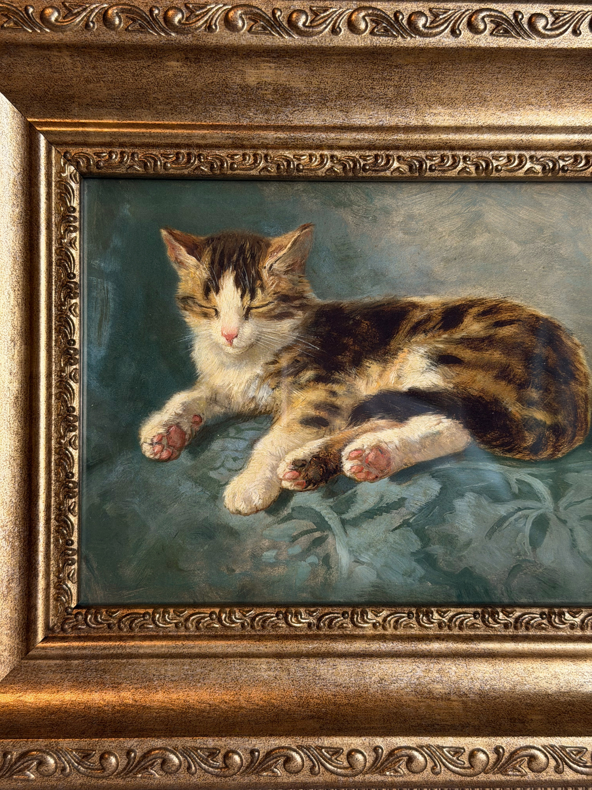 Framed Cat Sleeping Giclee Print