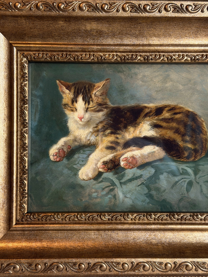 Framed Cat Sleeping Giclee Print