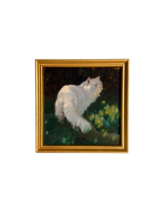 Framed White Cat & Butterfly Print