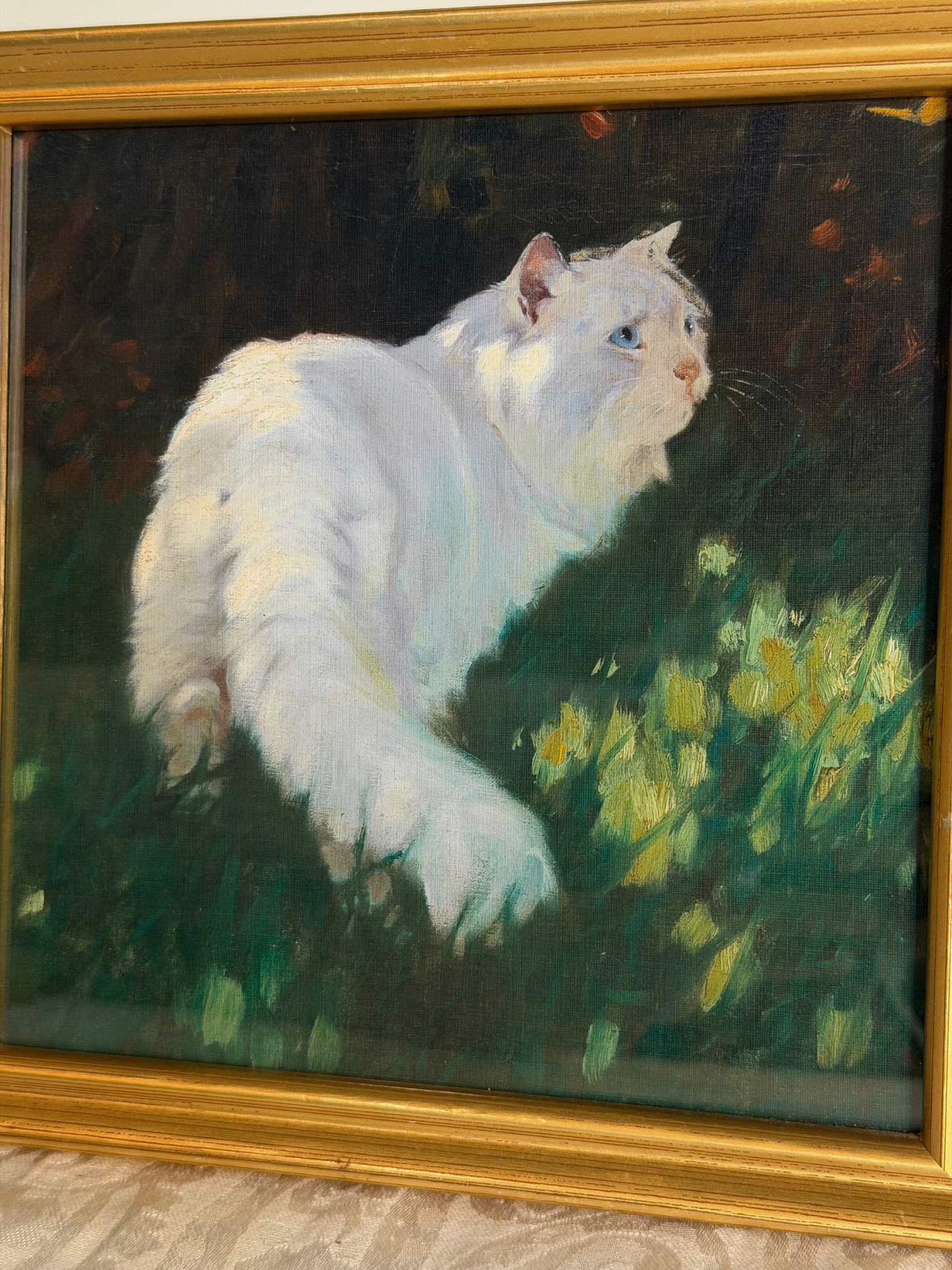 Framed White Cat & Butterfly Print
