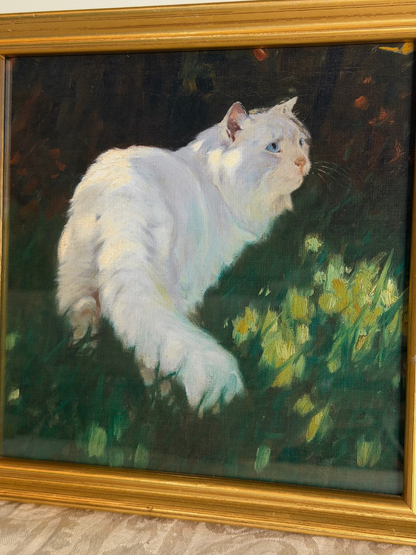 Framed White Cat & Butterfly Print