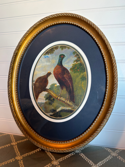 Framed Pheasant & Hen Print