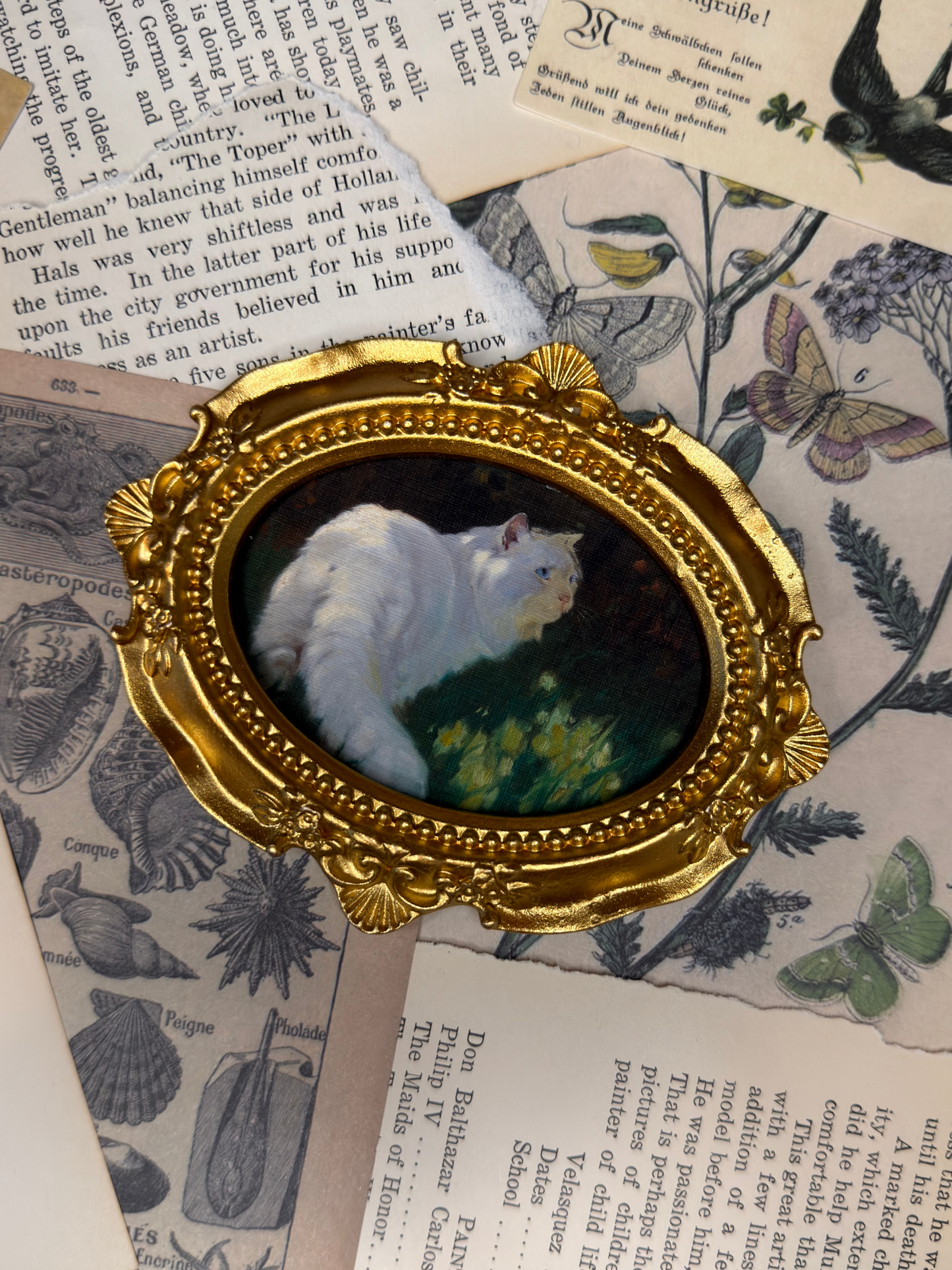 Small White Cat #1 Magnet