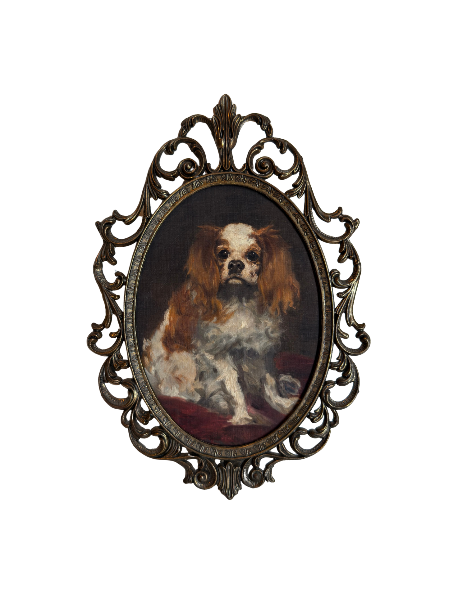 Framed King Charles Spaniel Print