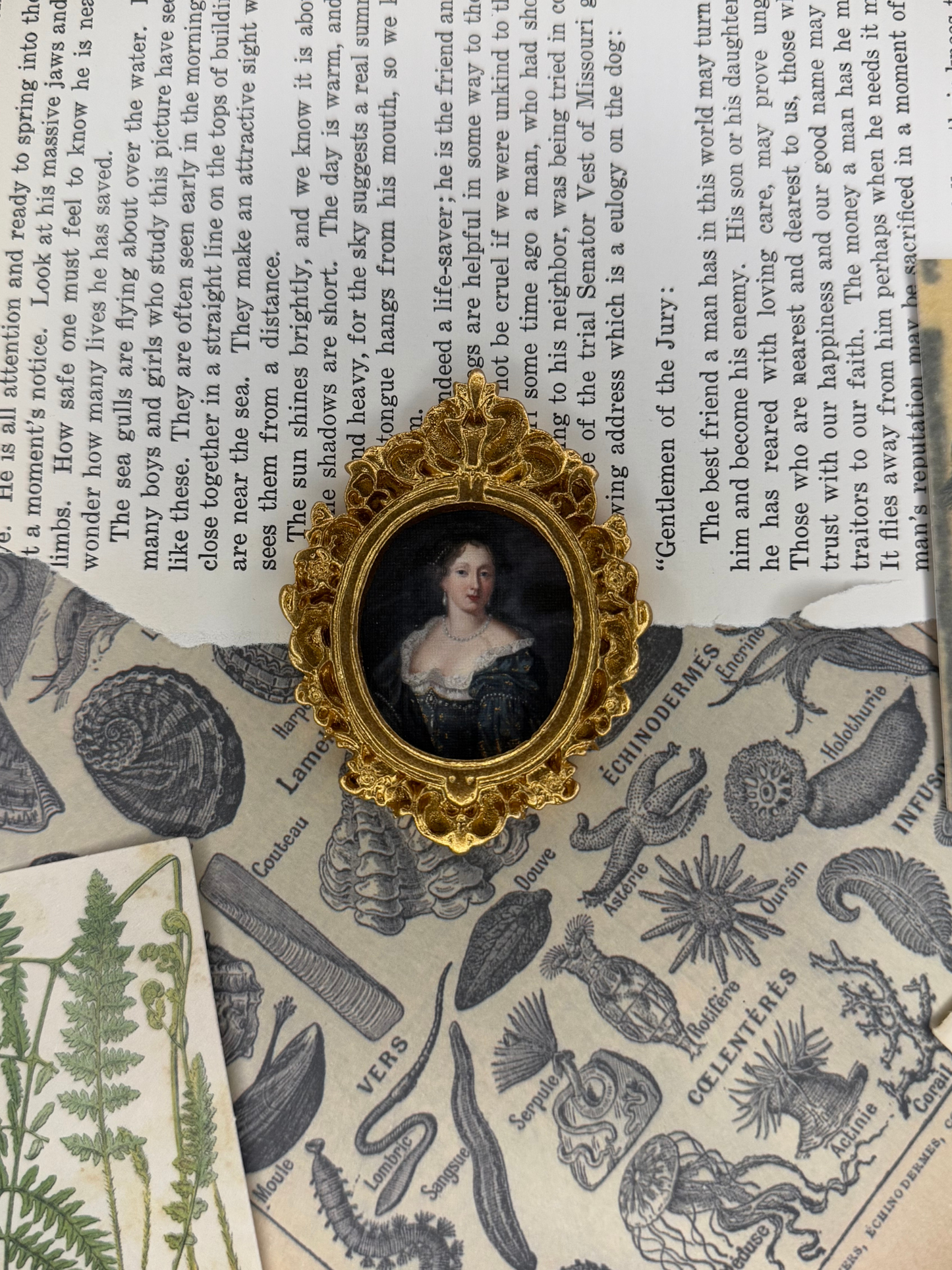 Mini Duchess of Richmond Magnet