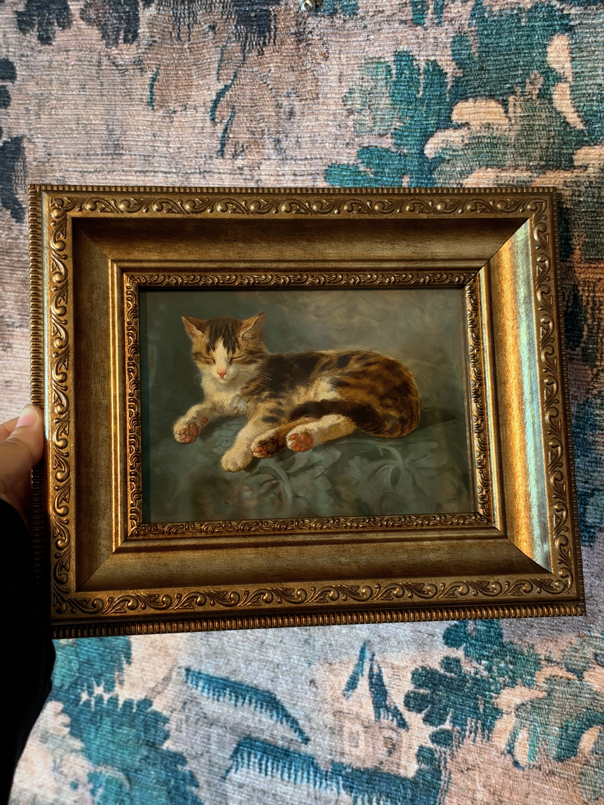 Framed Cat Sleeping Giclee Print