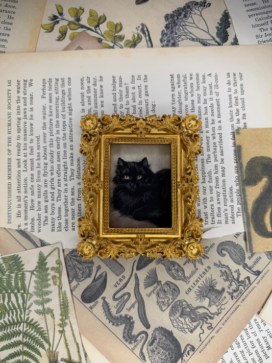 Small Black Cat Magnet #2