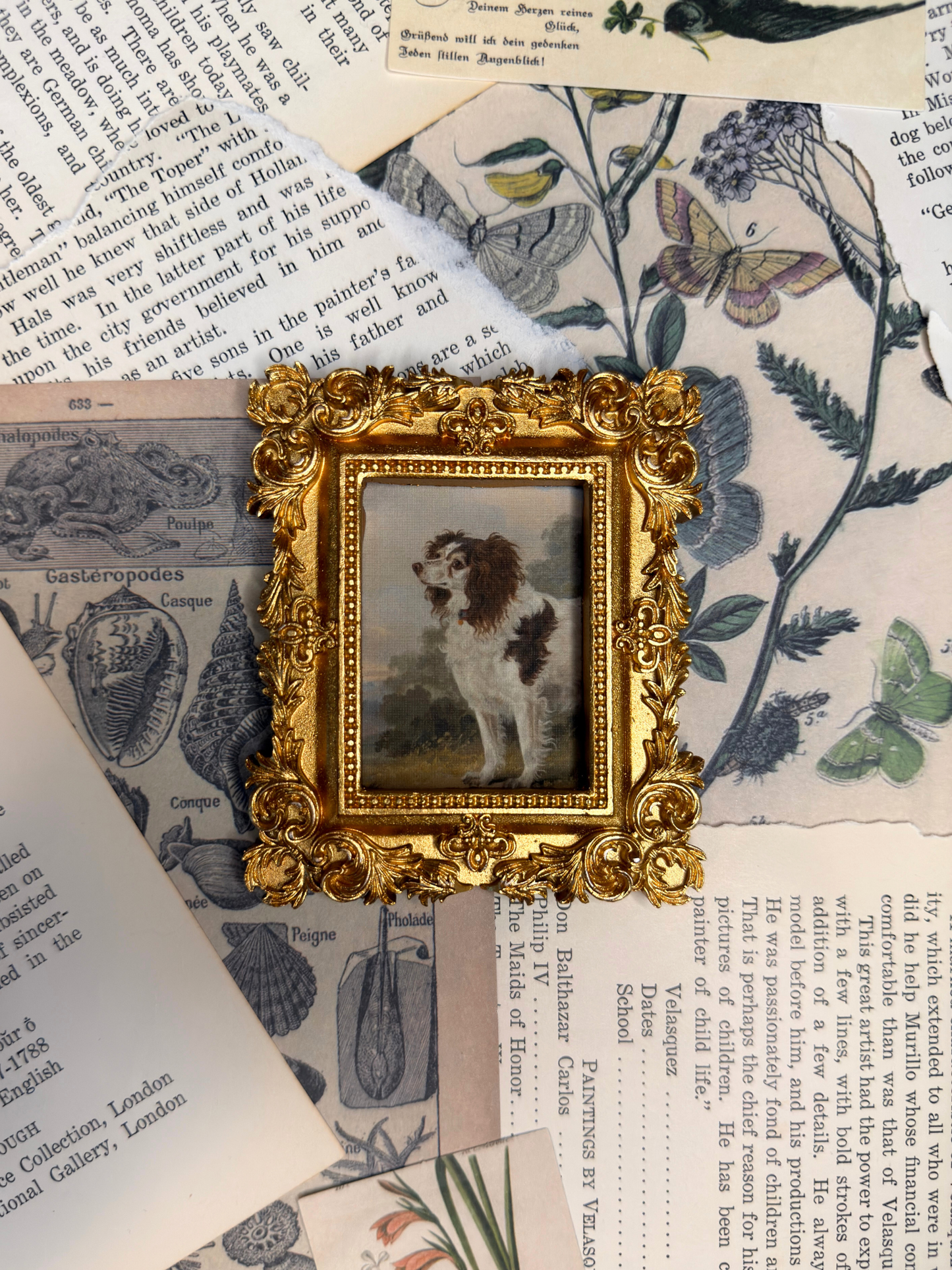 Small Spaniel Magnet