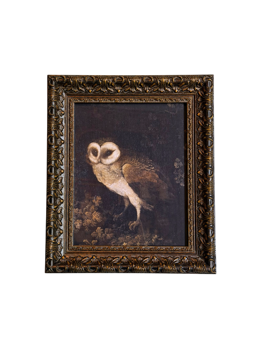 Framed Owl Print
