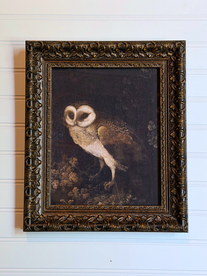 Framed Owl Print