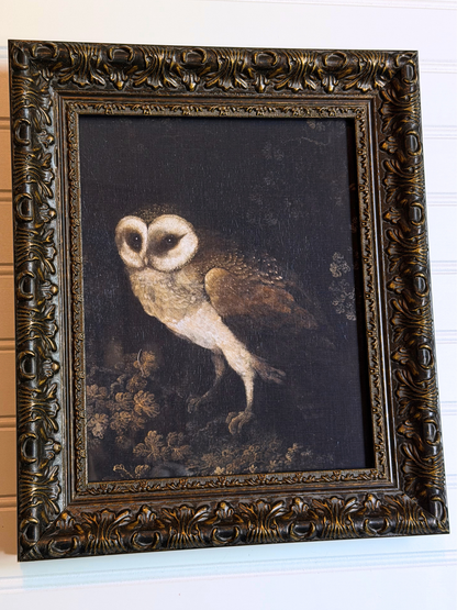 Framed Owl Print