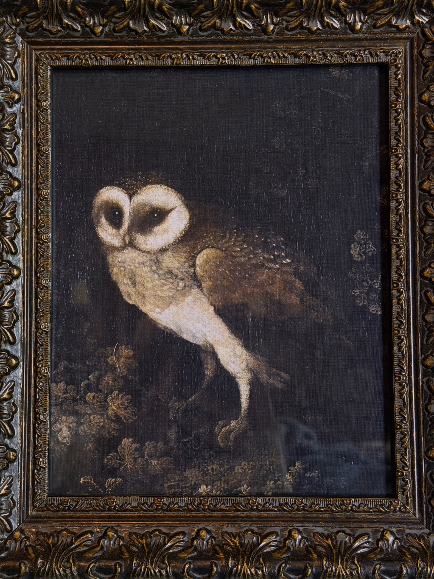 Framed Owl Print