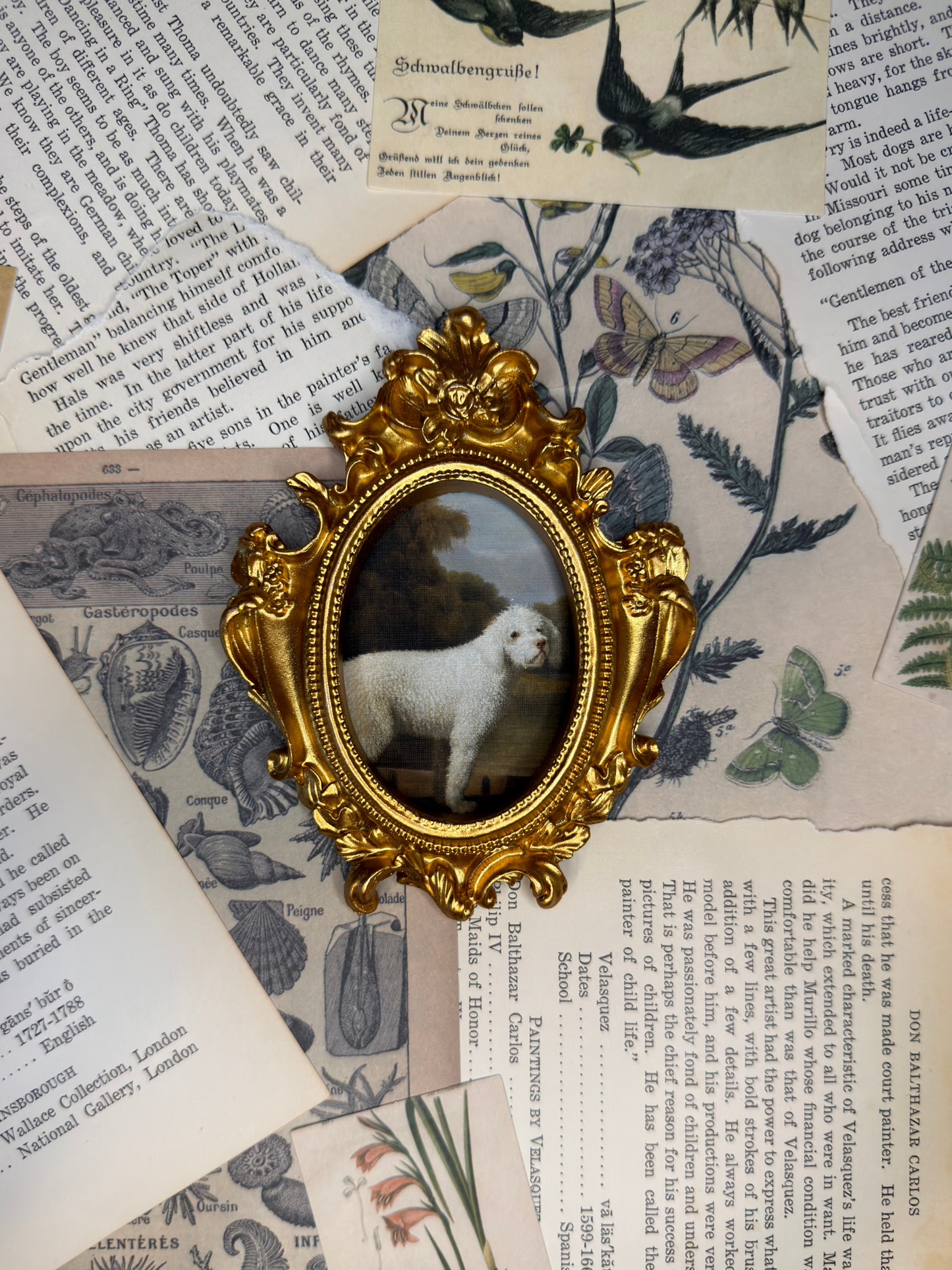 Small White Poodle Magnet