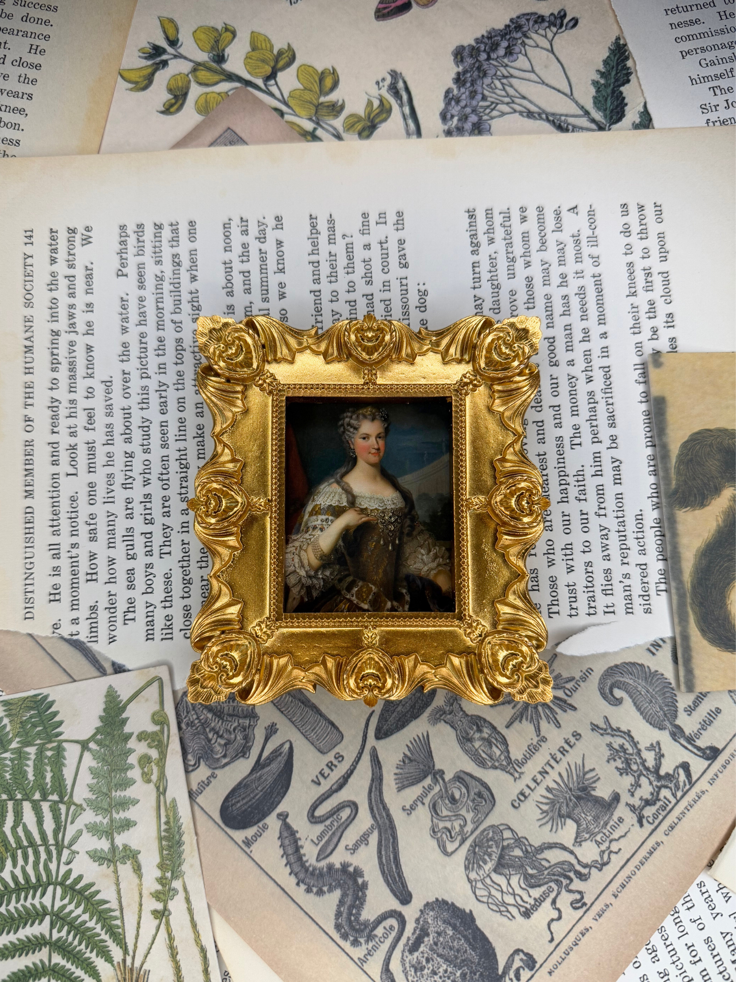 Small Queen of France Magnet