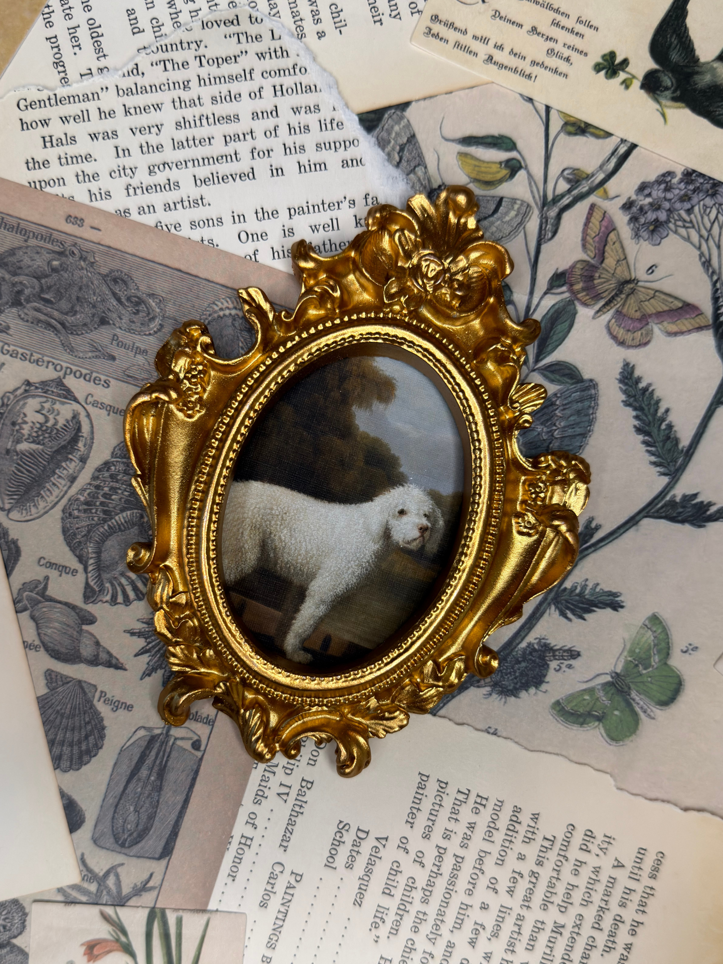 Small White Poodle Magnet