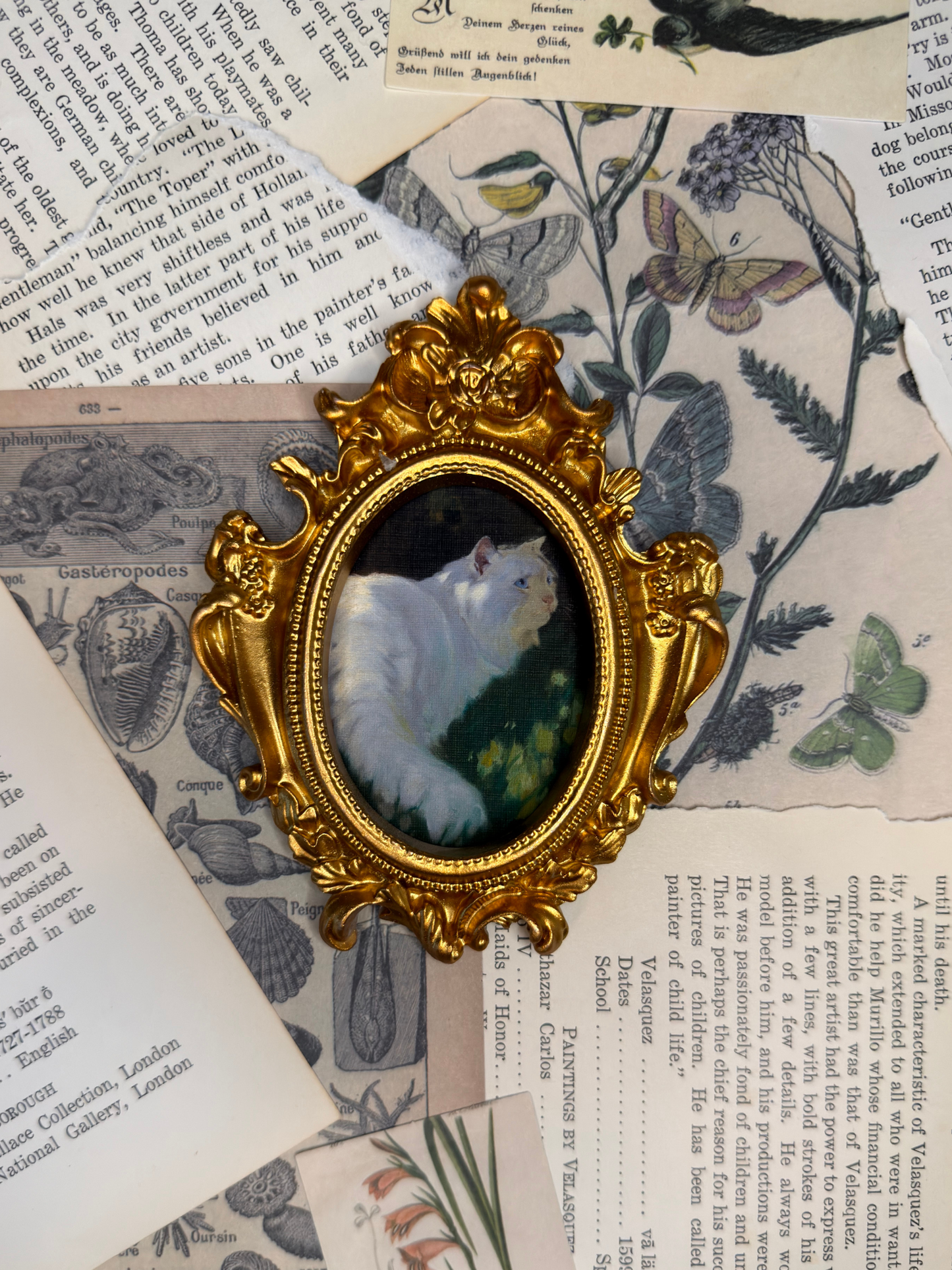 Small White Cat #3 Magnet