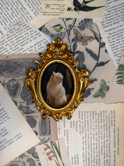 Small White Cat Sitting Magnet