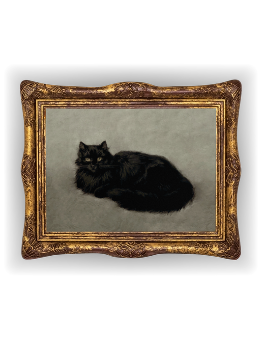 Black Cat