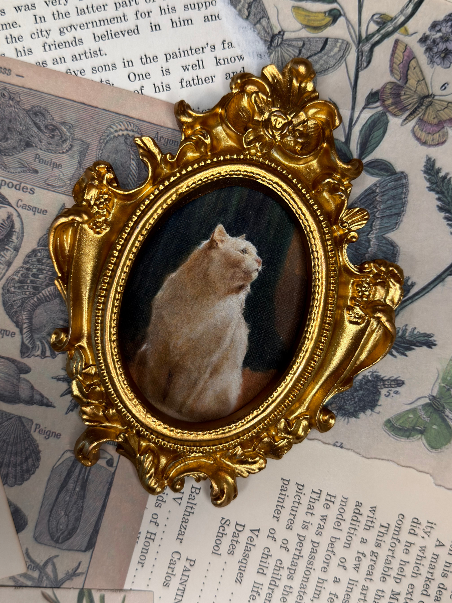 Small White Cat Sitting Magnet