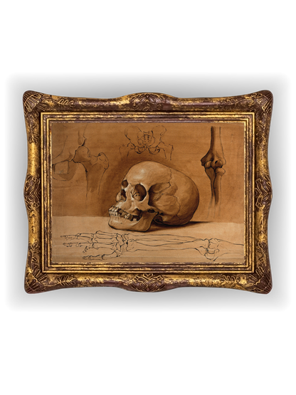 Skull & Bones