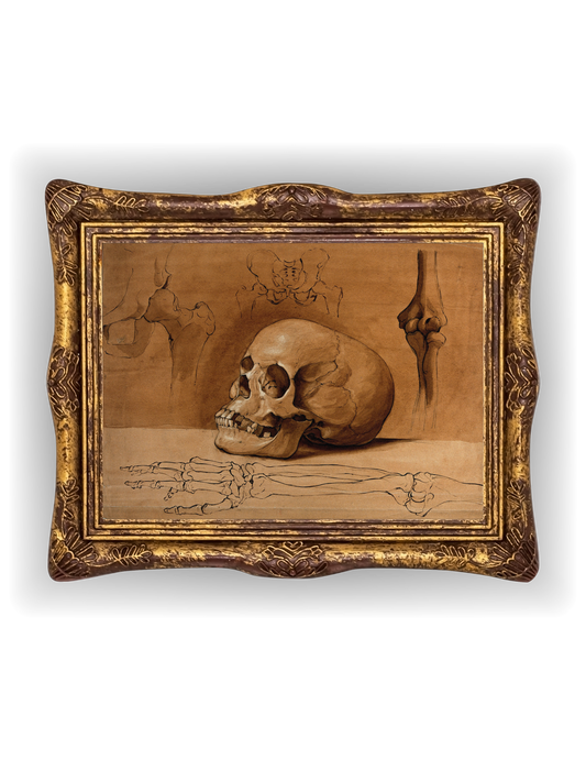 Skull & Bones