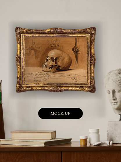 Skull & Bones