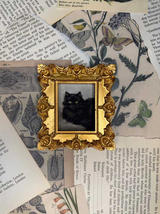 Small Black Cat #2 Magnet