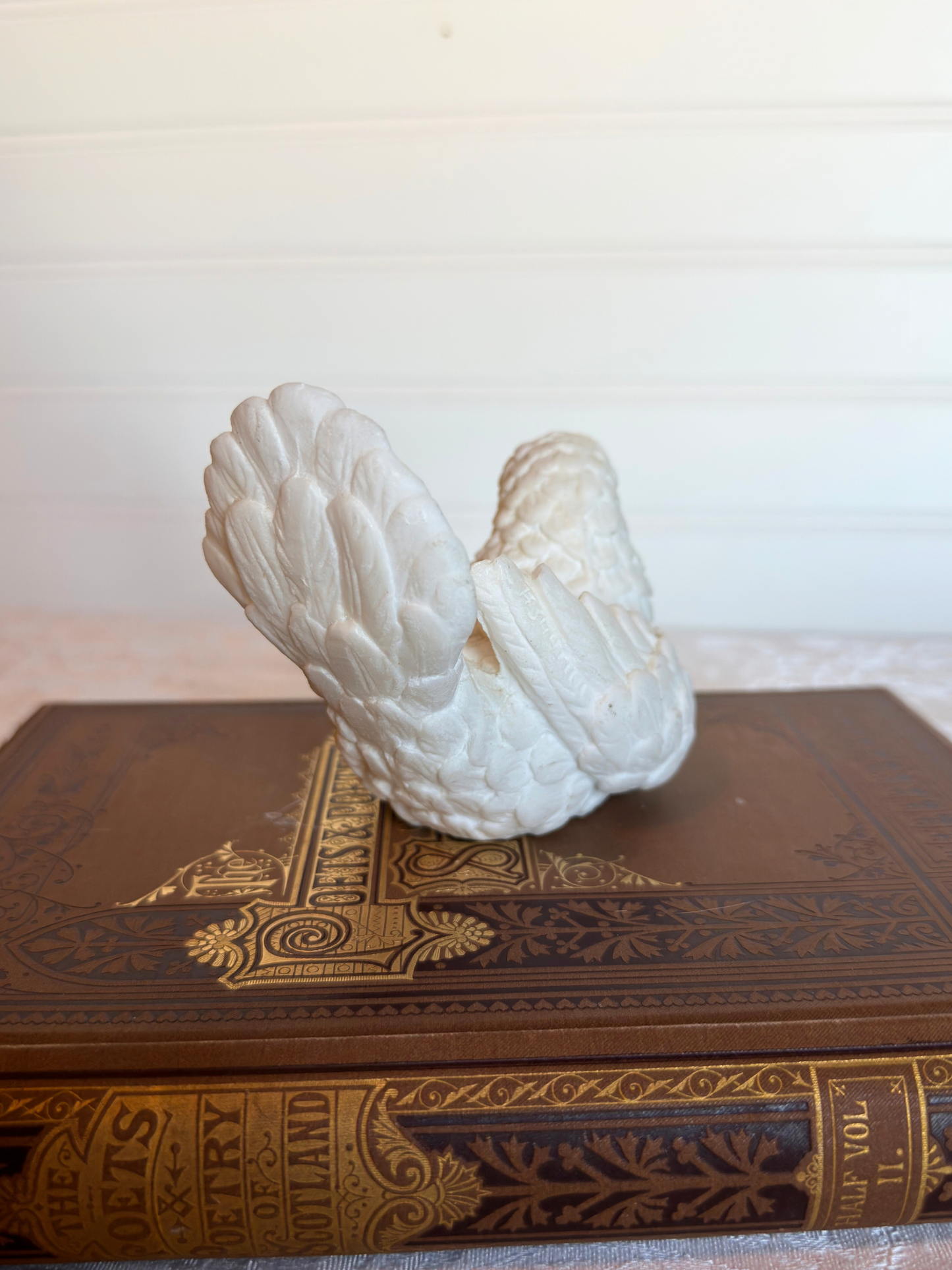 back of white bird on a book in a white background 