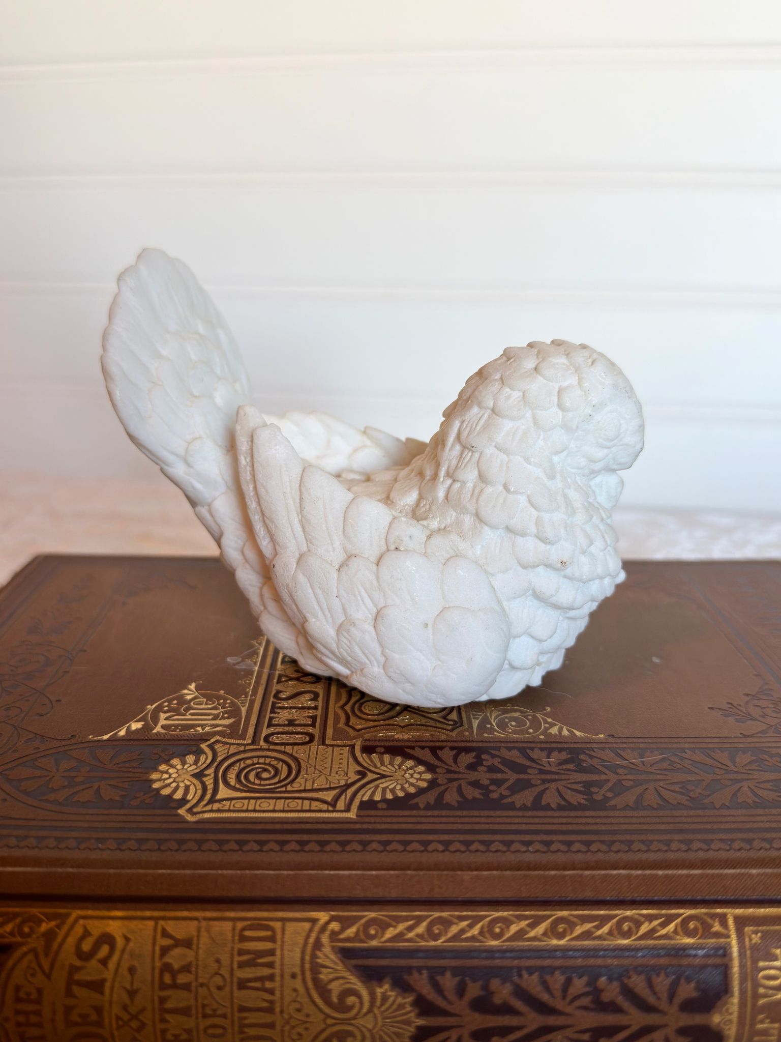 white bird on a book and white background