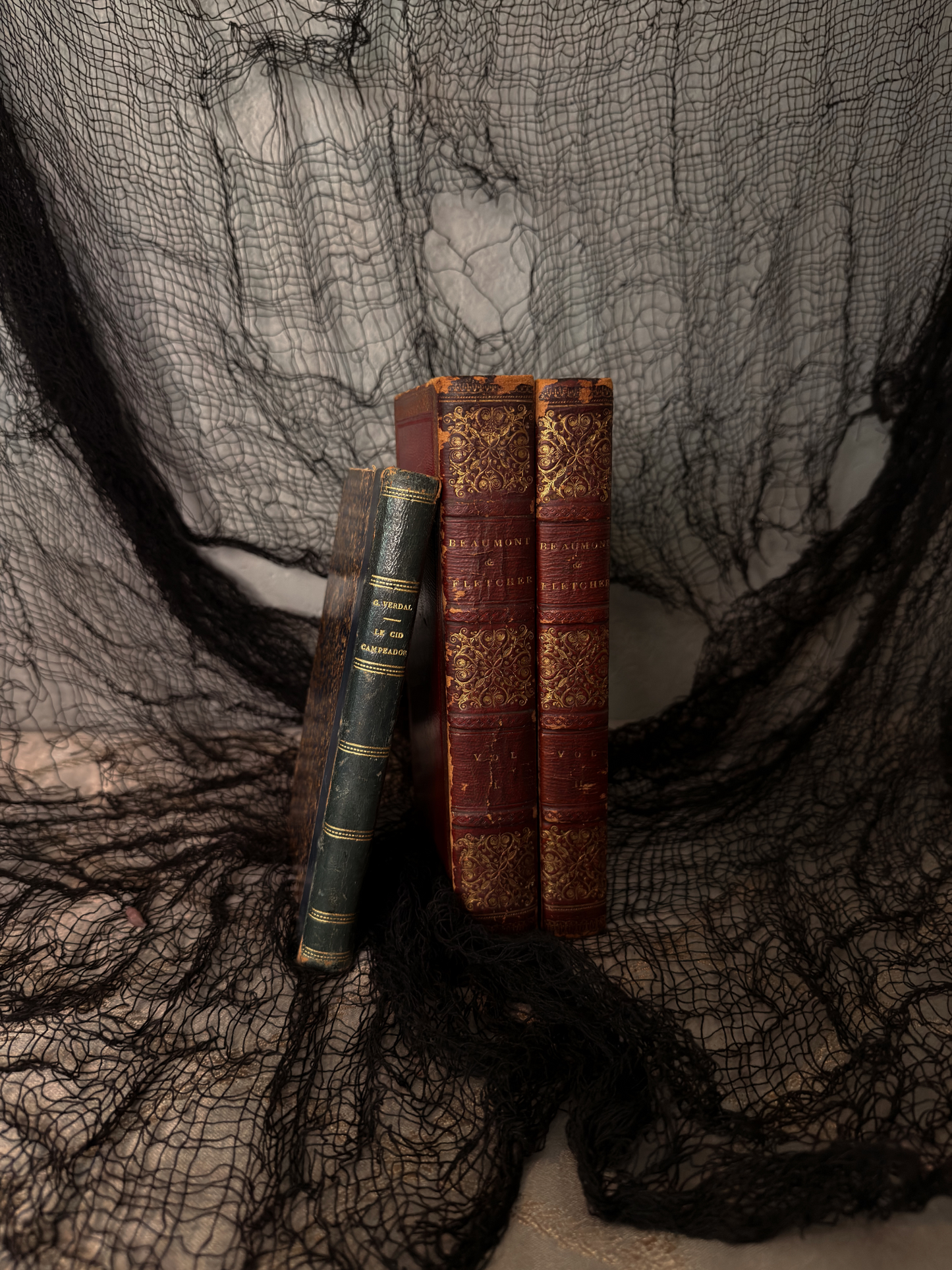 Leather Books Bundle