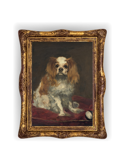 A King Charles Spaniel