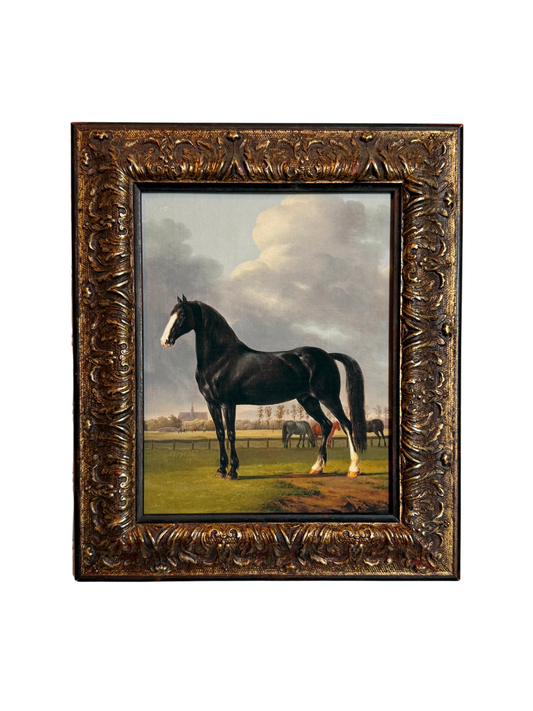Horse Framed Giclee Print